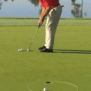 Load image into Gallery viewer, eGolfRing Chip &amp; Putt Package (18" and 6') - White or Yellow
