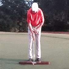 Load image into Gallery viewer, Sindelar Putting System
